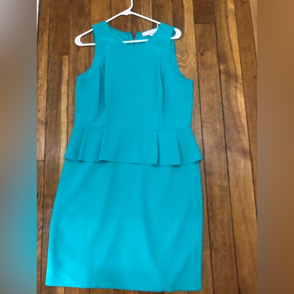 Ann Taylor dress NWOT - Picture 10 of 13